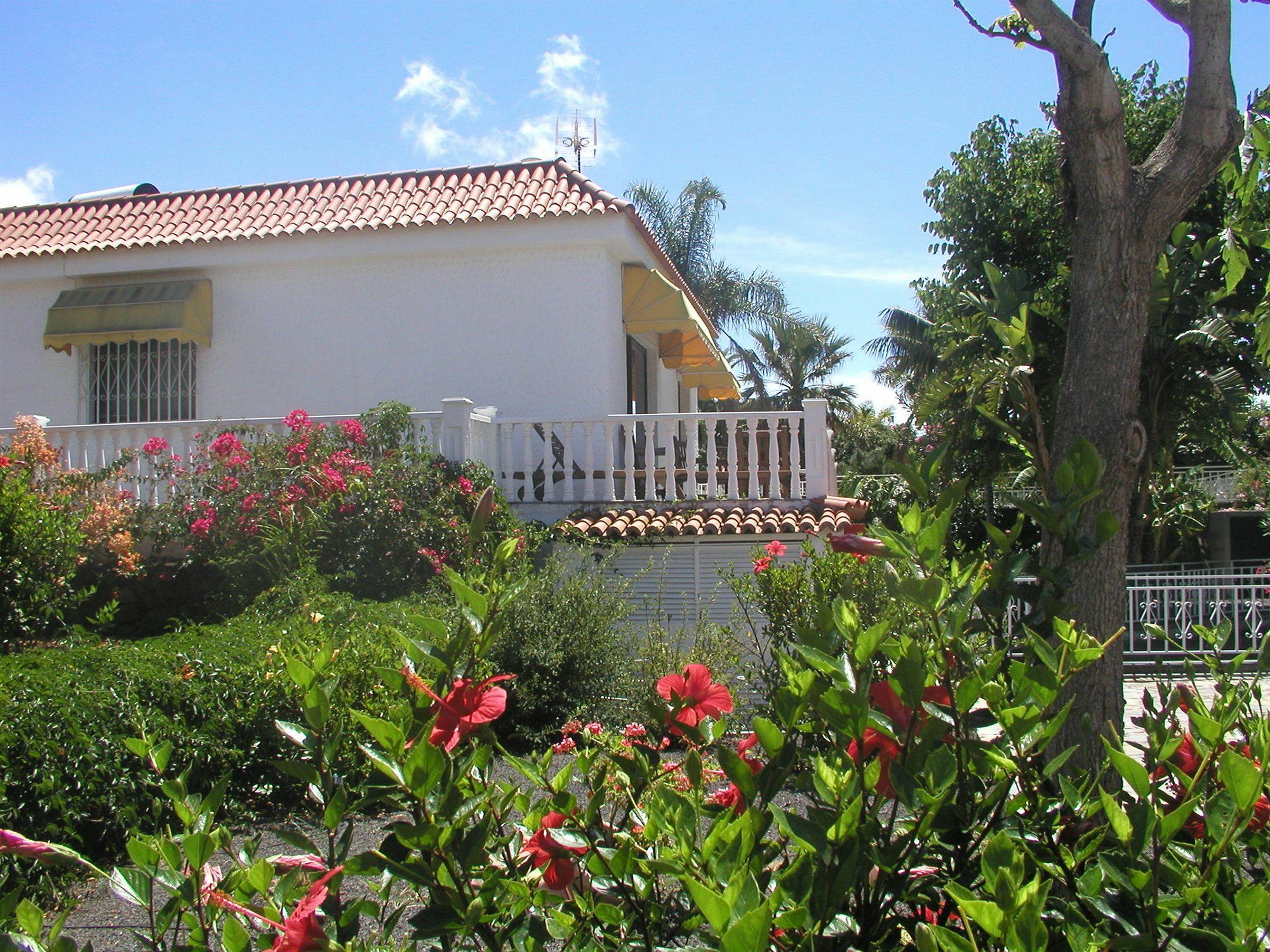 Residencial Las Norias Todoque ภายนอก รูปภาพ